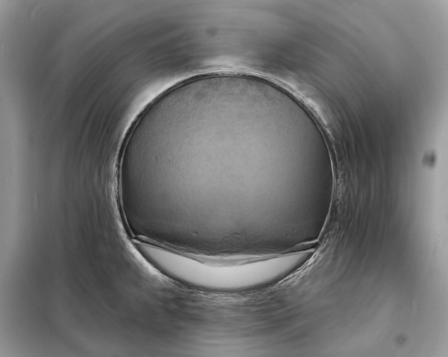 X0000098211239200805081127