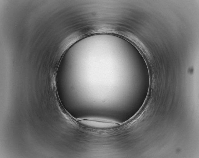 X0000098211241200805081127