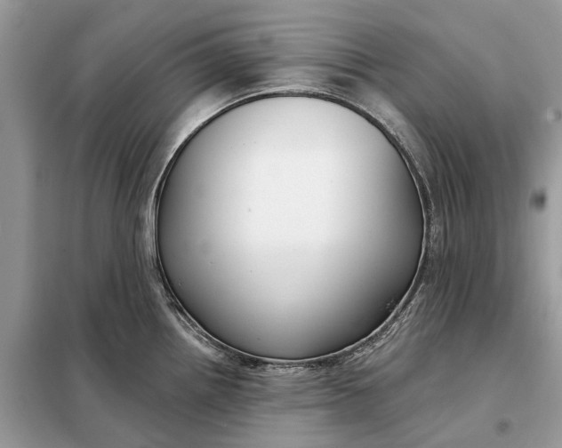 X0000098211242200805081127