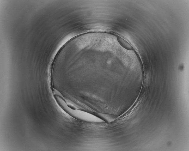 X0000098211243200805081127