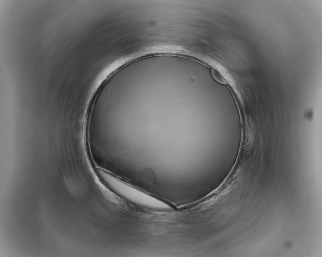 X0000098211245200805081127