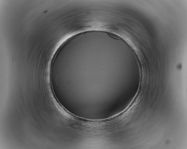 X0000098211246200805081127