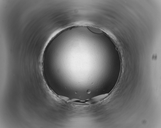 X0000098211248200805081127