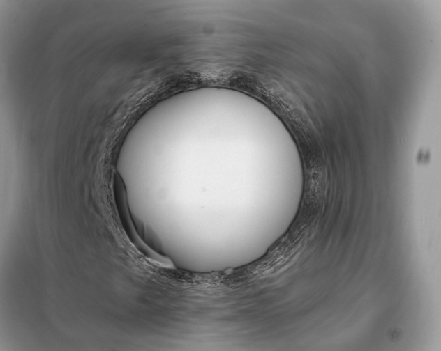 X0000098211249200805081127