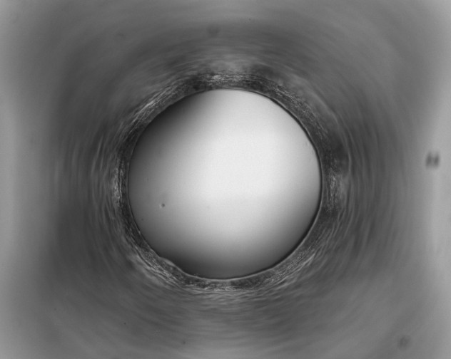 X0000098211250200805081127
