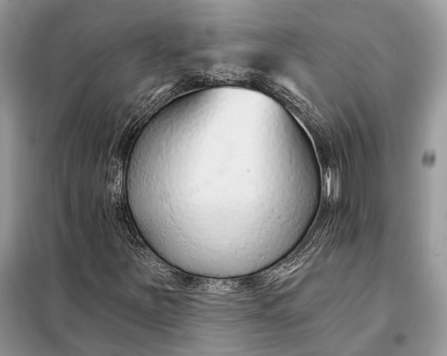 X0000098211251200805081127