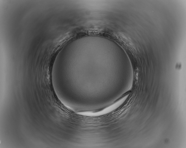 X0000098211252200805081127