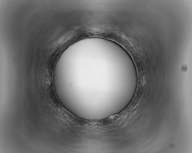X0000098211253200805081127