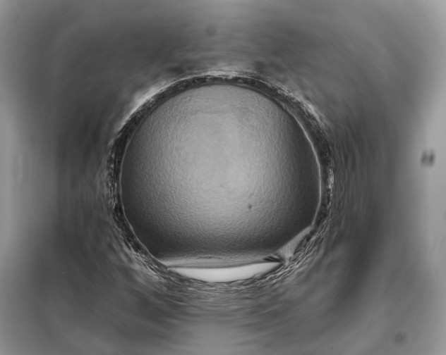 X0000098211256200805081127
