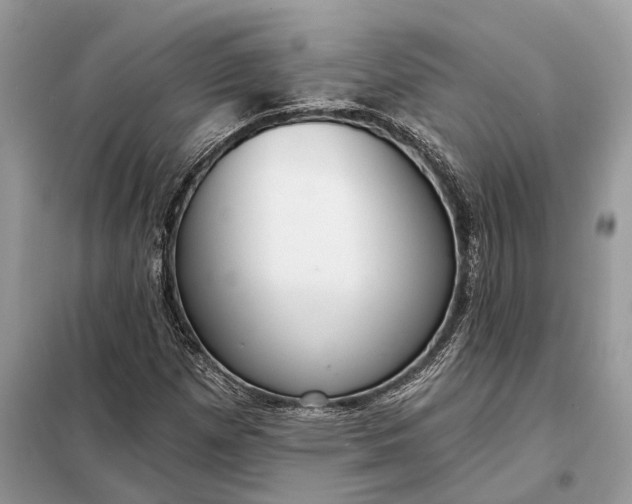 X0000098211257200805081127