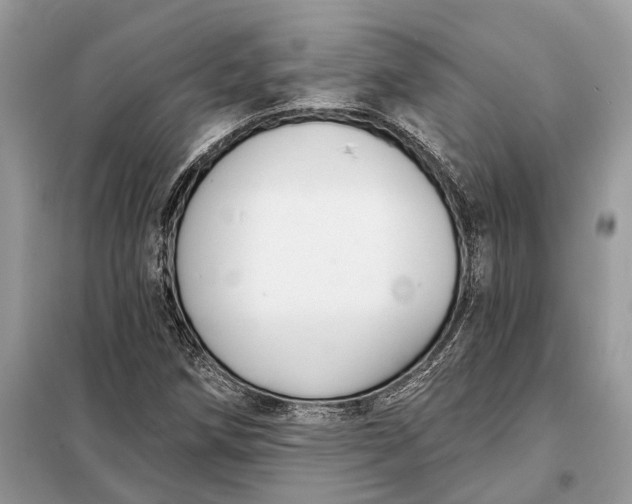 X0000098211258200805081127