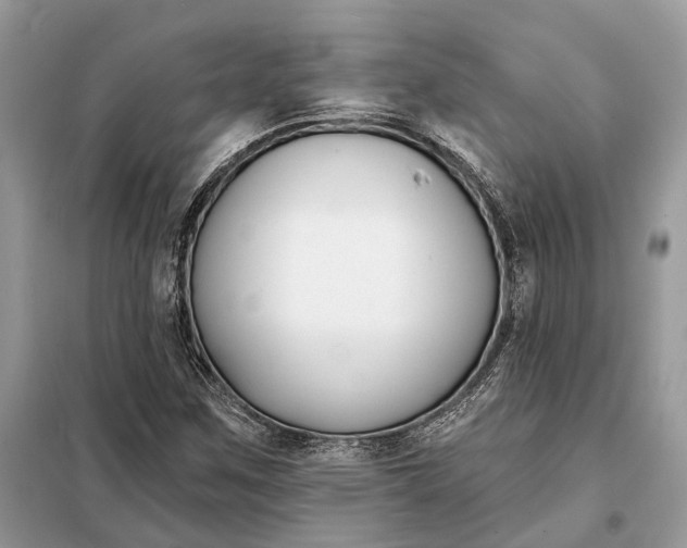 X0000098211259200805081127