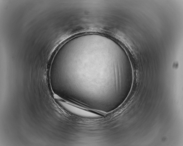 X0000098211260200805081126