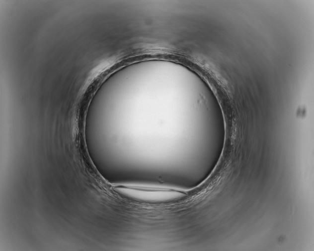 X0000098211261200805081126