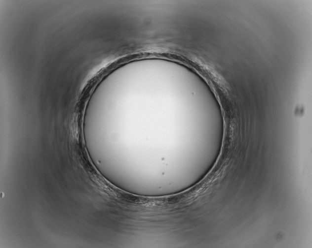 X0000098211262200805081126