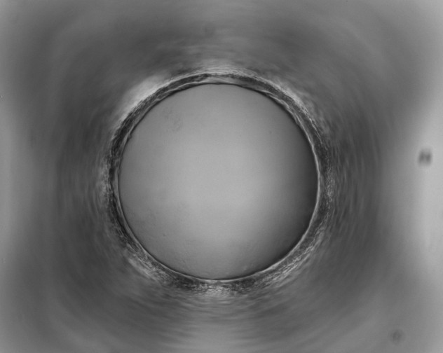 X0000098211263200805081126