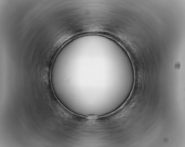 X0000098211265200805081126