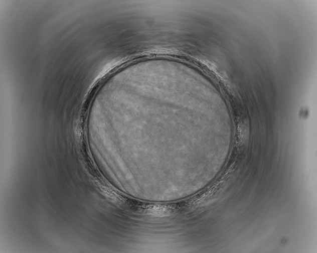 X0000098211266200805081126