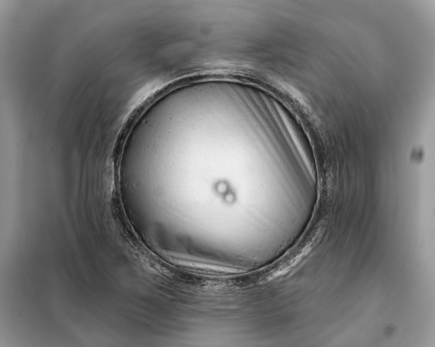 X0000098211267200805081126