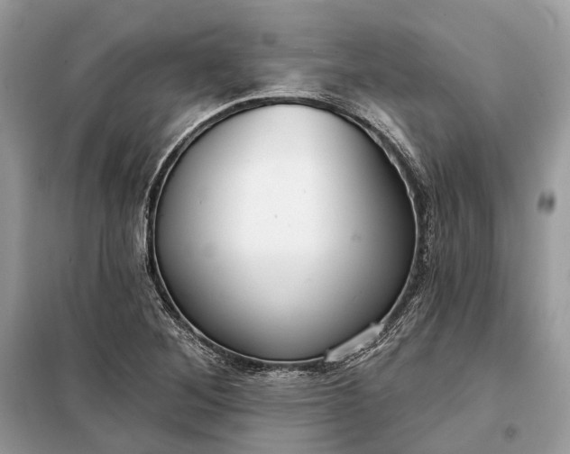 X0000098211268200805081126