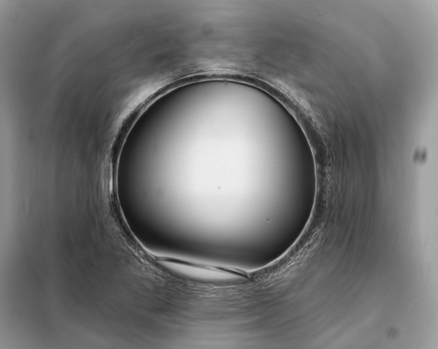 X0000098211269200805081126