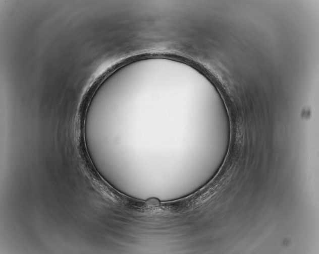 X0000098211270200805081126