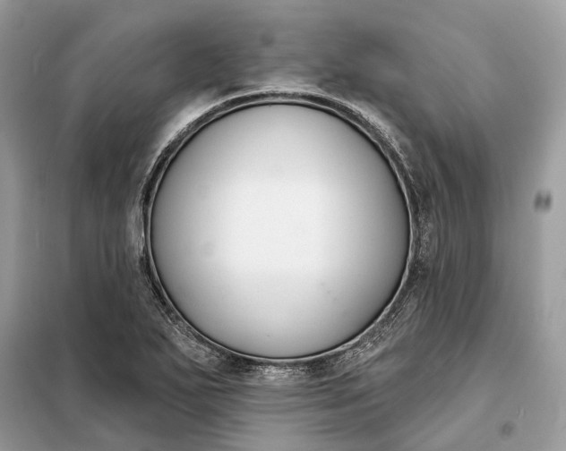 X0000098211271200805081126
