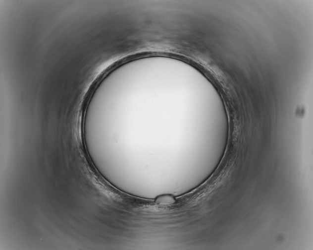 X0000098211272200805081126