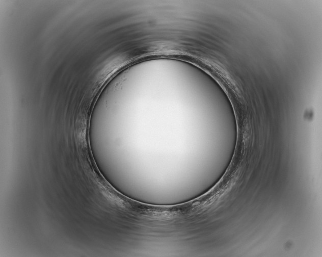 X0000098211273200805081126