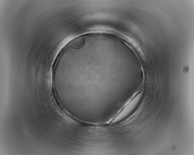 X0000098211275200805081126