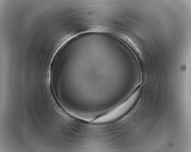 X0000098211276200805081126