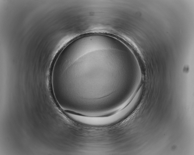 X0000098211277200805081126