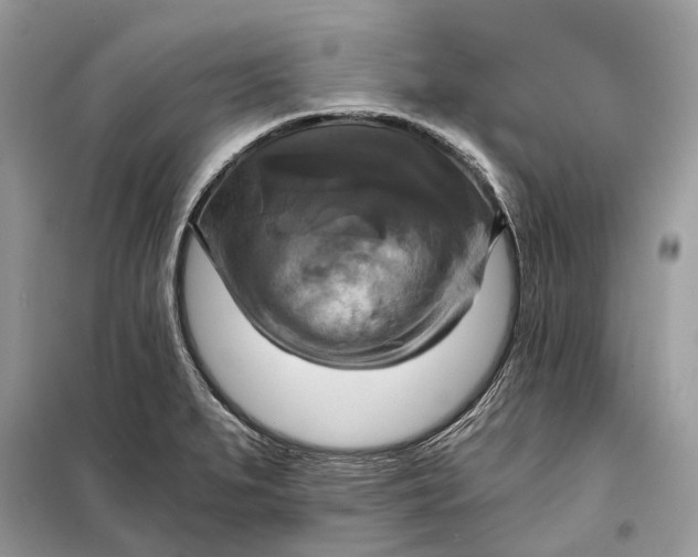 X0000098211279200805081126