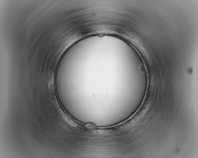 X0000098211281200805081126