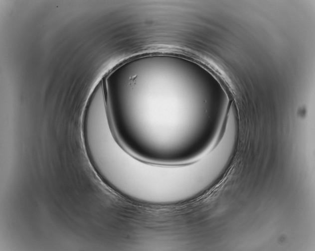 X0000098211283200805081126