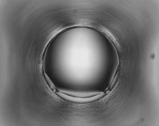 X0000098211284200805081126