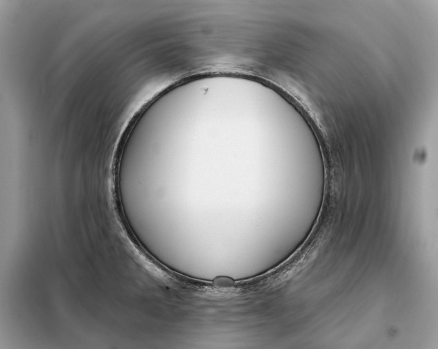X0000098211285200805081126