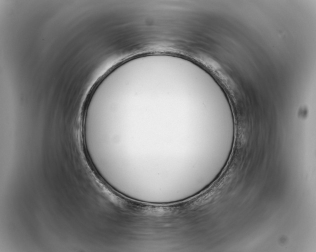 X0000098211286200805081126