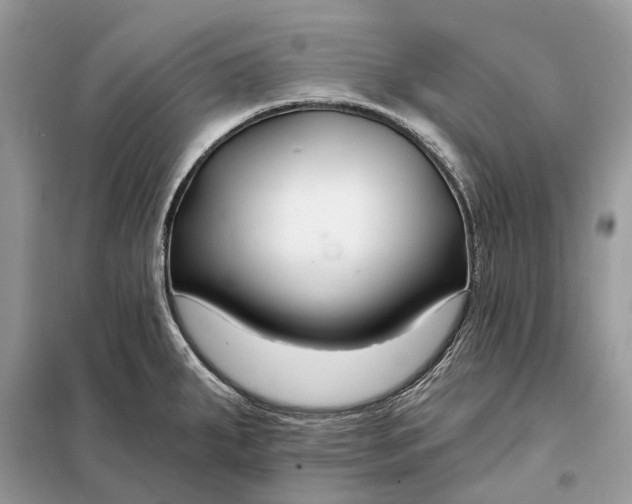 X0000098211287200805081126