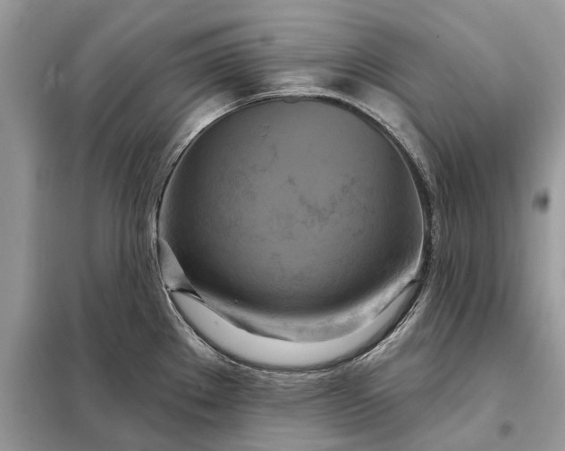 X0000098211289200805081126