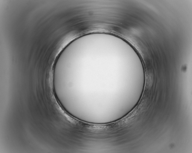 X0000098211290200805081126