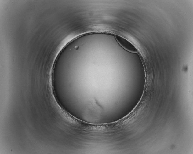 X0000098211291200805081126