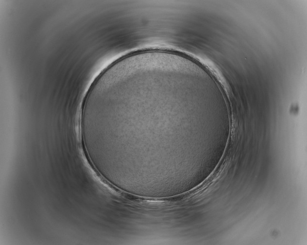 X0000098211295200805081126