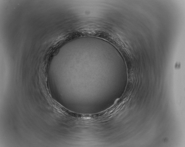 X0000098211297200805081125