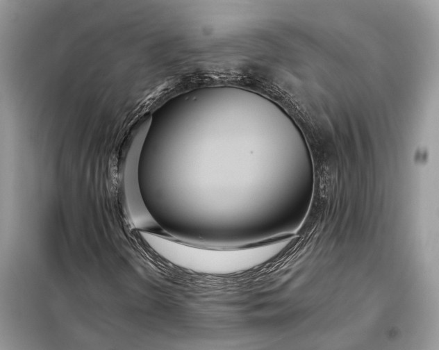 X0000098211298200805081125
