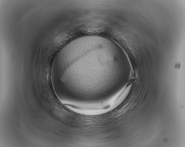 X0000098211300200805081125