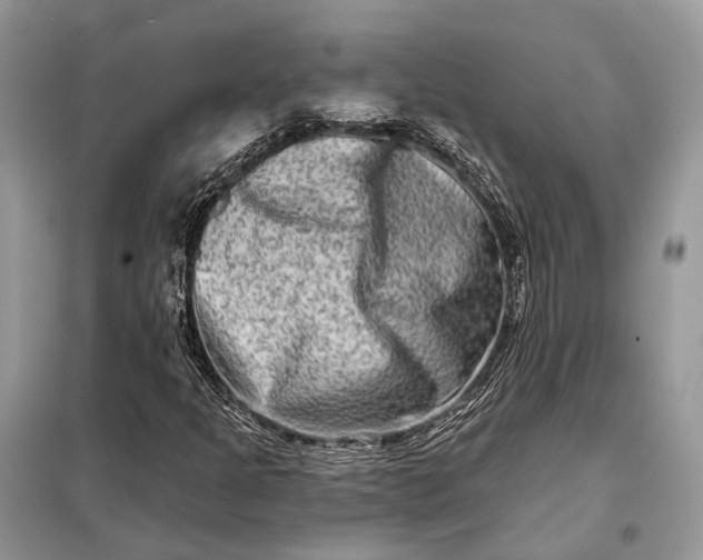 X0000098211301200805081125