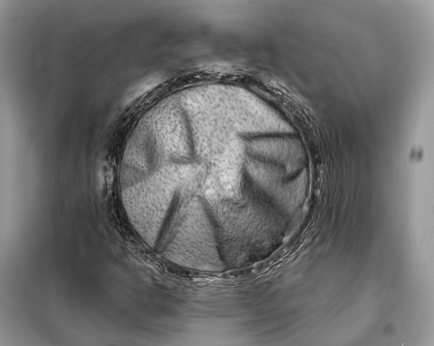 X0000098211302200805081125