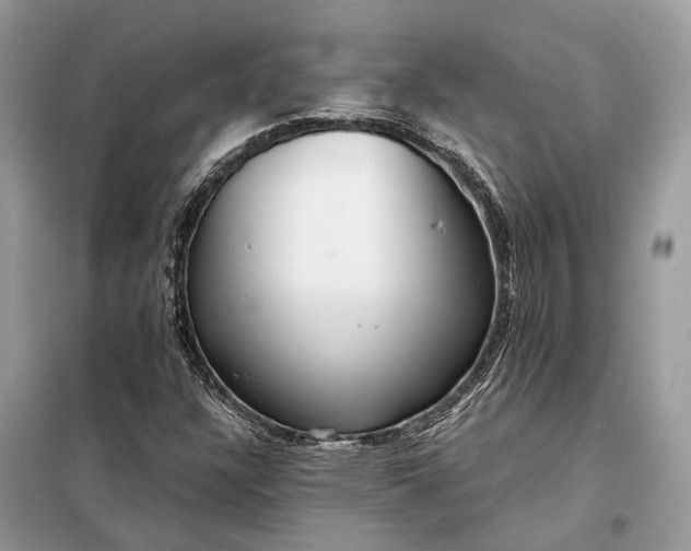 X0000098211304200805081125