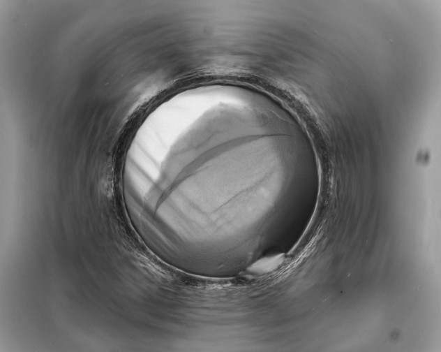 X0000098211306200805081125
